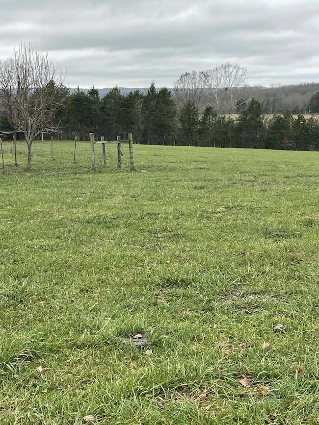 2174 County Road A-425, Ava, MO 65608 - photo 2