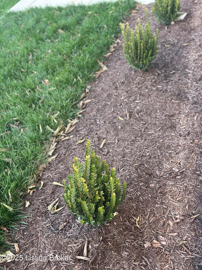 4301 Paper Birch Way, Louisville, KY 40245 - photo 7