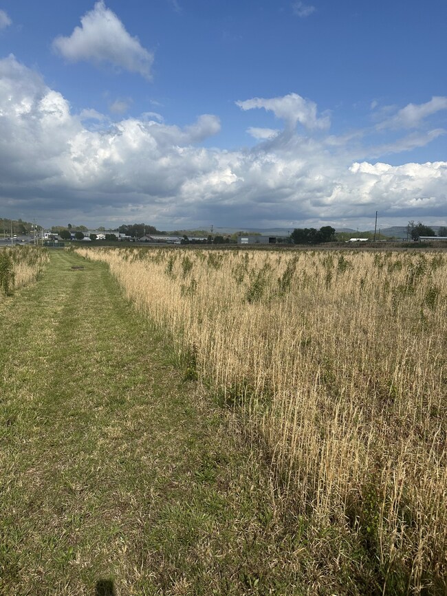 0 Manchester Hwy unit RTC2817165, Morrison, TN 37357 - photo 6