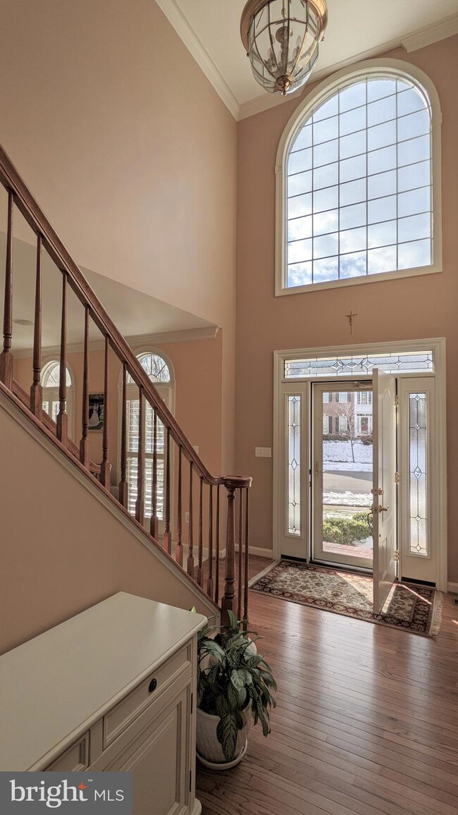 43345 St Andrews St, Chantilly, VA 20152 - photo 2