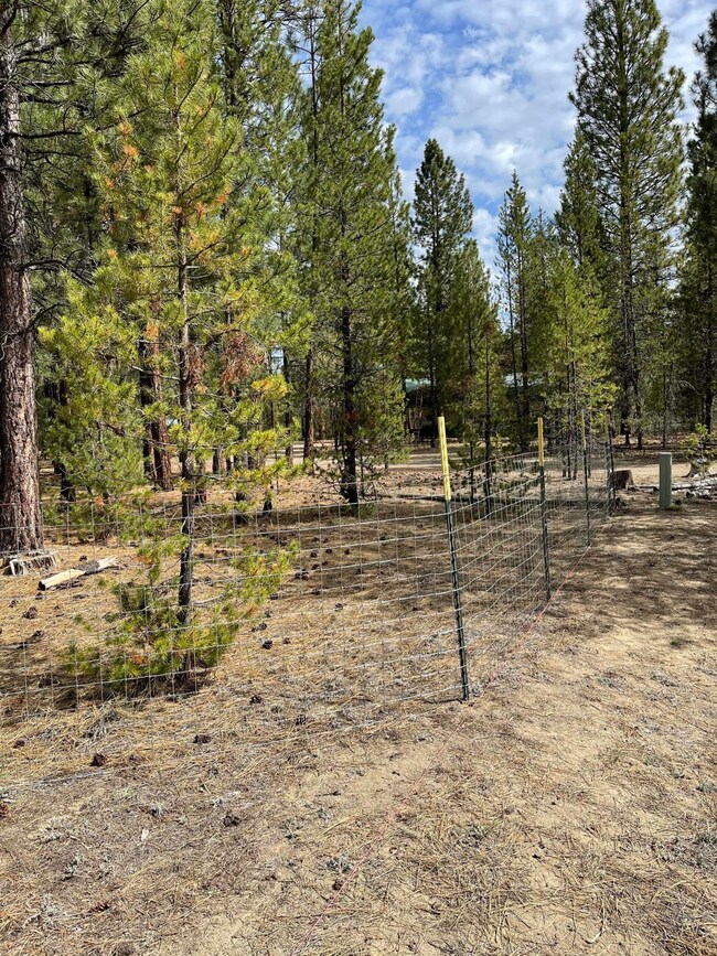 doe loop 3