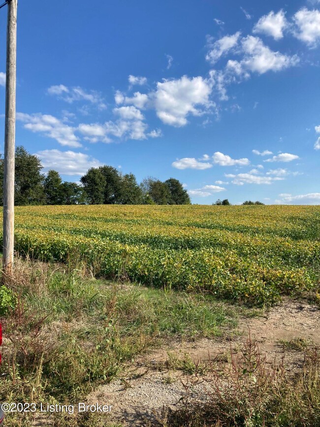 3295 Lawrenceburg Rd, Bloomfield, KY 40008 - photo 2