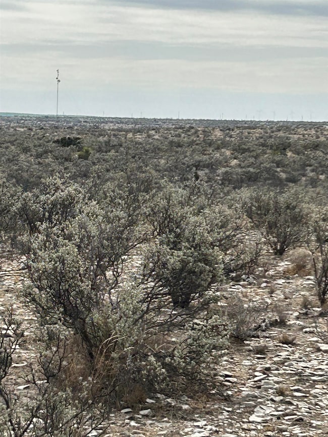 TR Ranch NE Tract 2, Langtry, TX 78871 - photo 7
