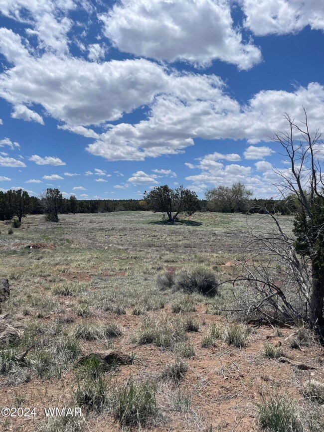 18 Pate Ln, Concho, AZ 85924 - photo 4