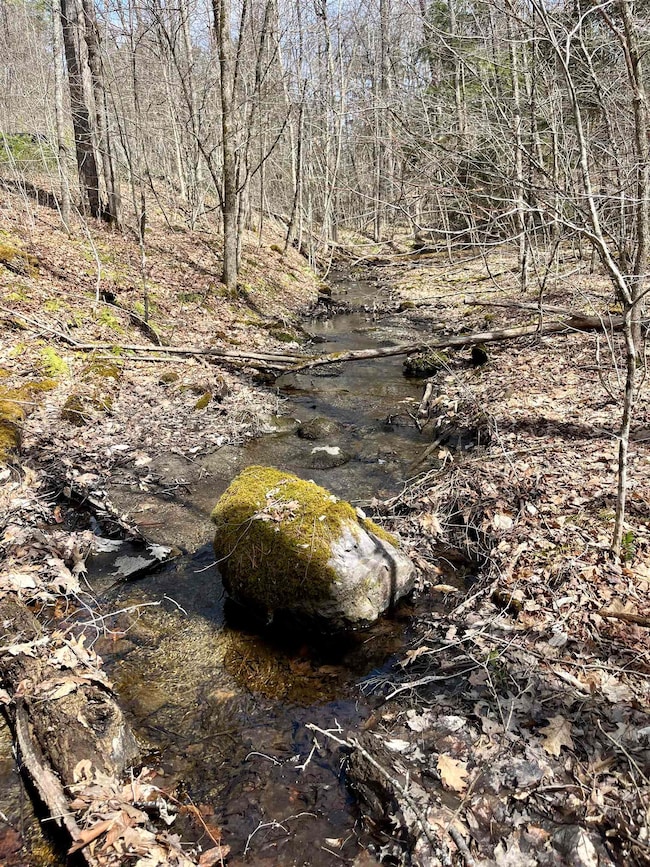 Year-round stream
