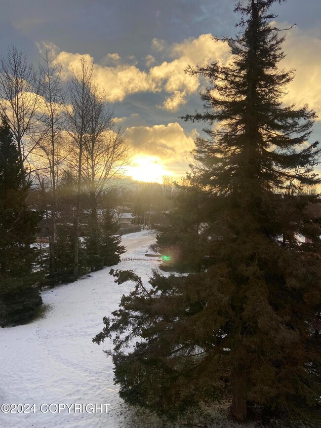 8040 Huckleberry St unit 8, Anchorage, AK 99502 - photo 5