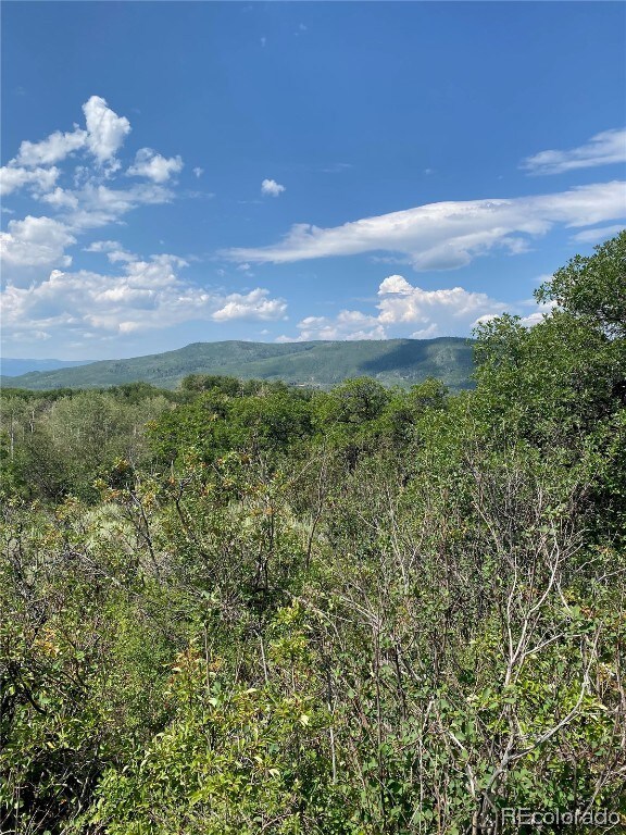 View from Lot 8