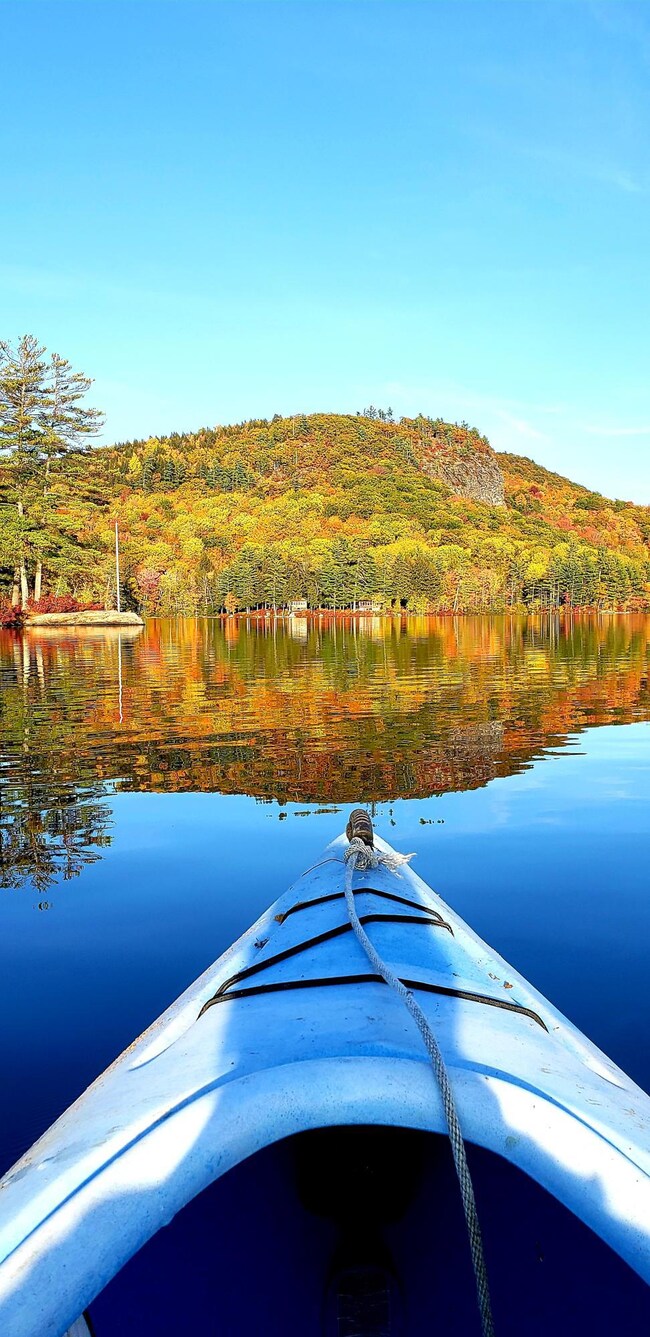 Kayak