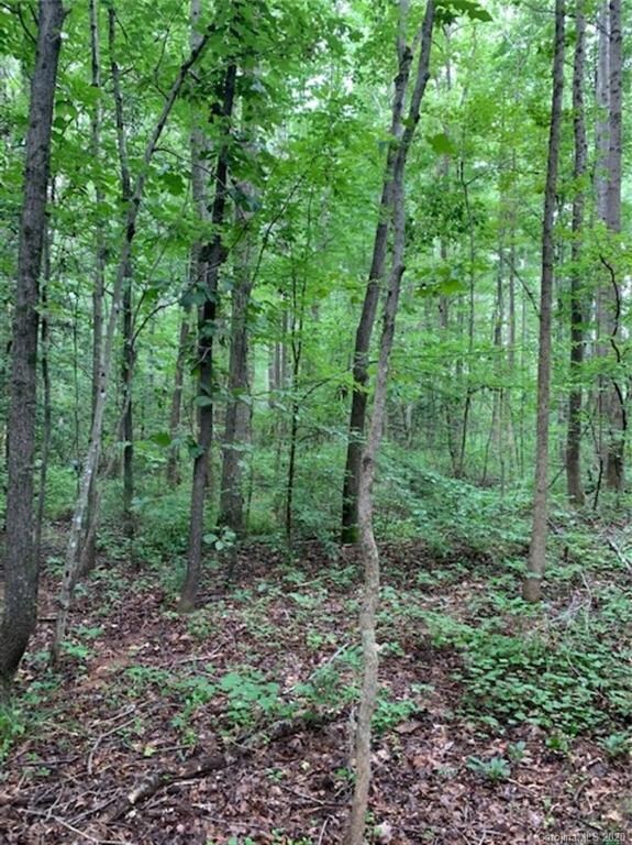 TBD Arabian Dr unit 82-83, Cedar Grove, NC 27205 - photo 3