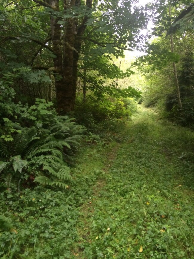 123 Center Rd, Quilcene, WA 98376 - photo 4