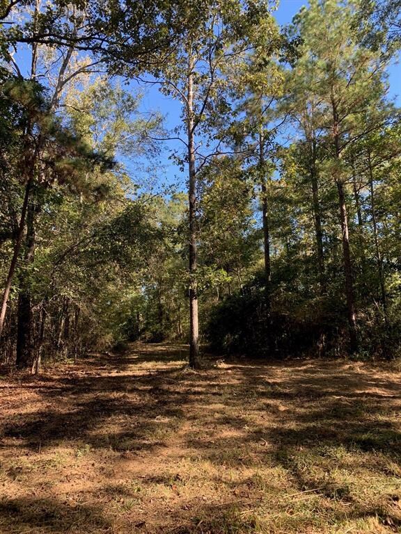 TBD Farm To Market Road 698, Nacogdoches, TX 75964 - photo 7