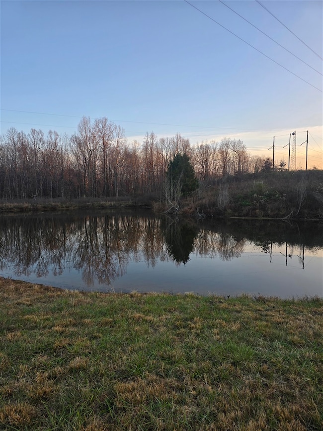 656 N Highway 810, Kuttawa, KY 42055 - photo 3