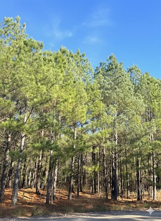 9 Sugarberry Trail, Broken Bow, OK 74728 - photo 2