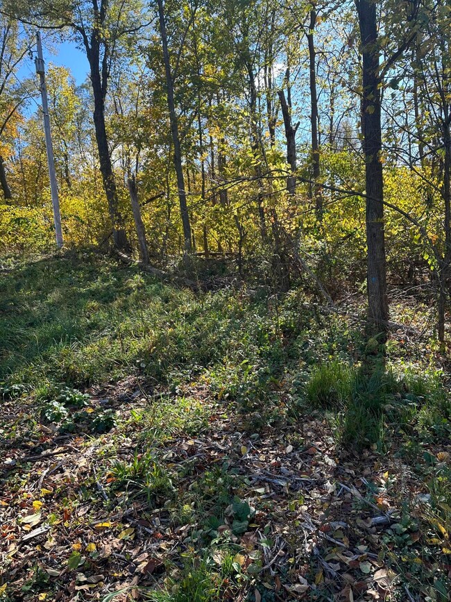 E B Ave Vacant Land (6)