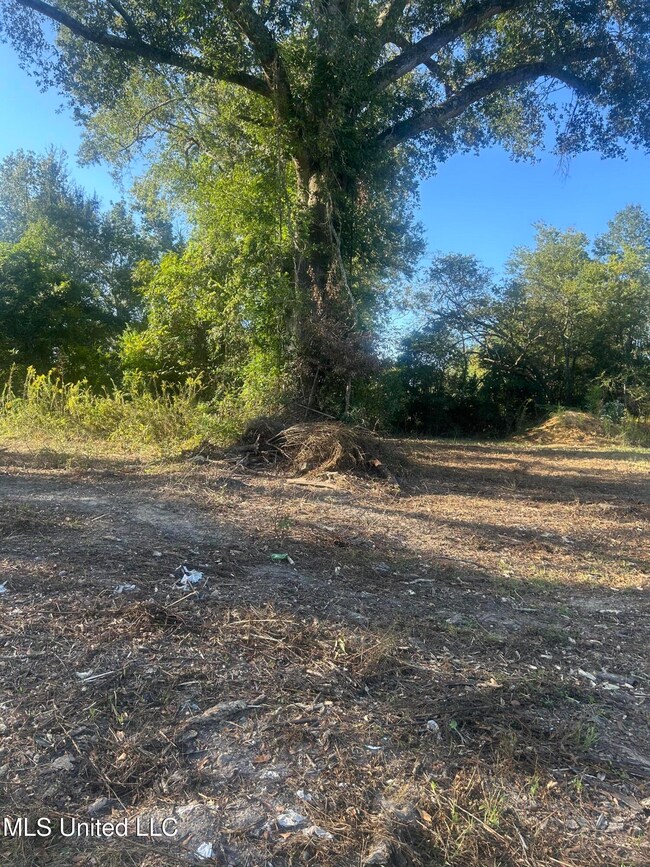 224 W Holly St, Magnolia, MS 39652 - photo 5