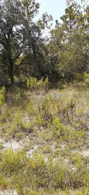 Lot  5 Convent Garden Rd, Weeki Wachee, FL 34613 - photo 5