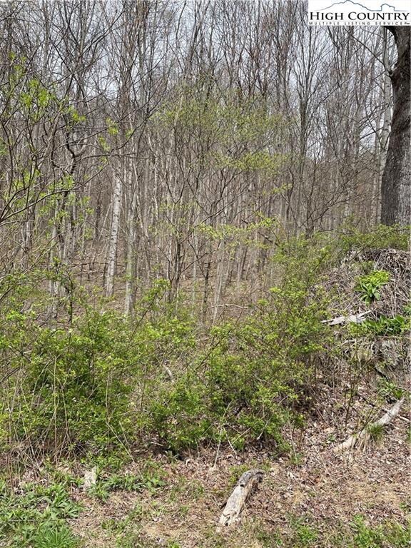 TBD Tract #7, Banner Elk, NC 28604 - photo 4