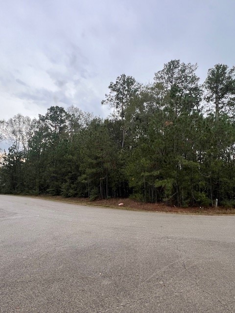 27702 Colapis Dr, Splendora, TX 77372 - photo 6