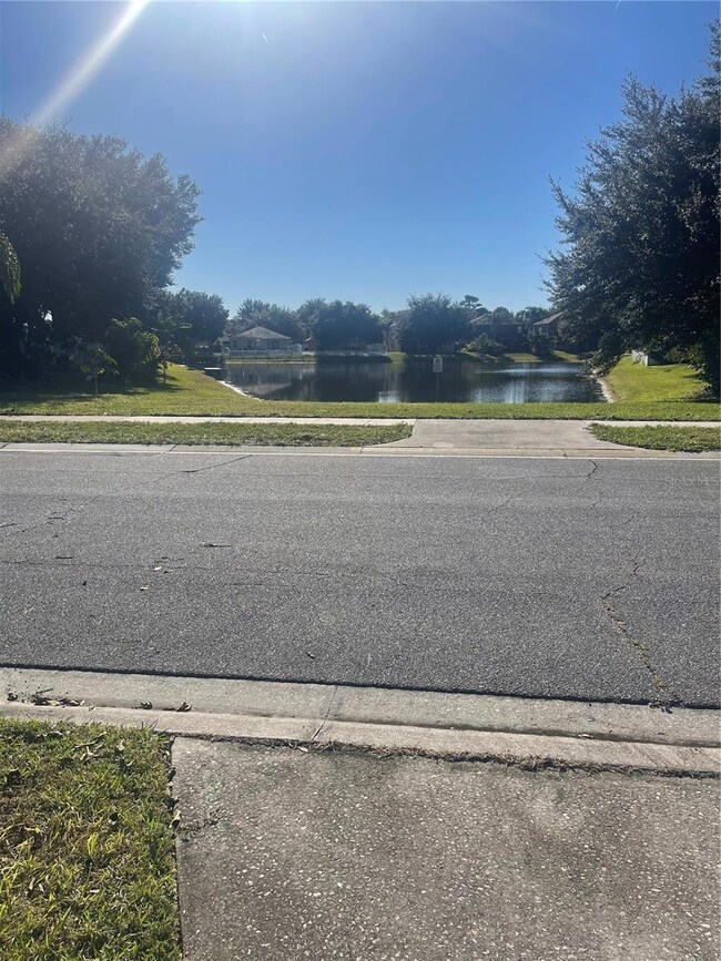 14869 Myakka Crown Dr, Orlando, FL 32828 - photo 7