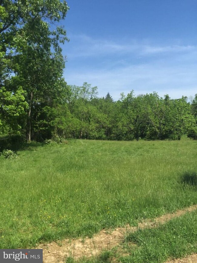 0 Not On File unit 1003289369, Maurertown, VA 22644 - photo 5