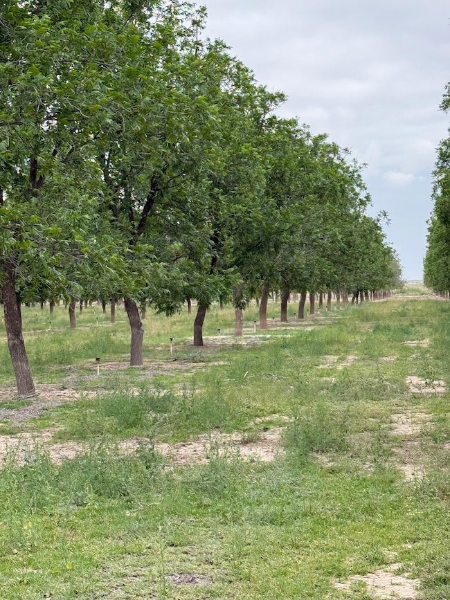 449 E 11th St, Lake Arthur, NM 88253 - photo 3