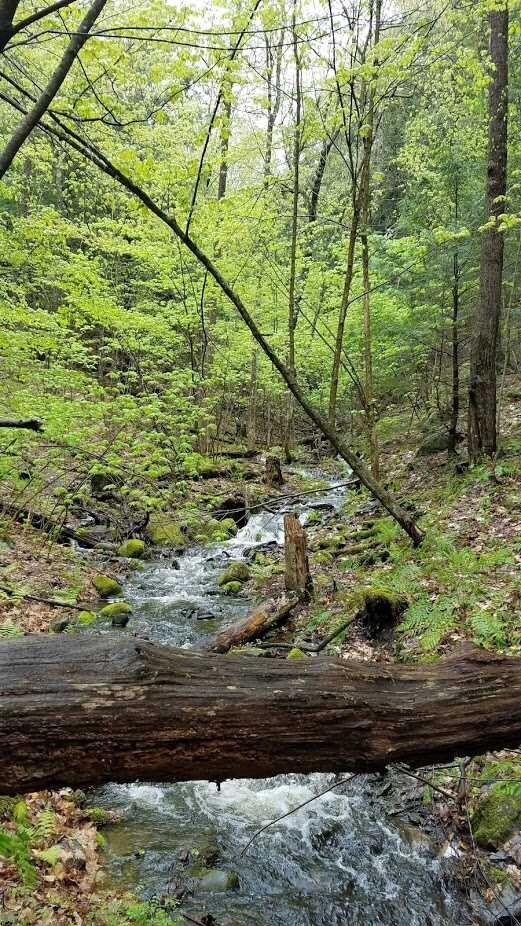 0 Breakneck Hill Rd, Charlestown, NH 03603 - photo 2