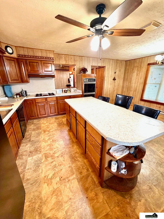 412 N 13th St, Tecumseh, NE 68450 - photo 3