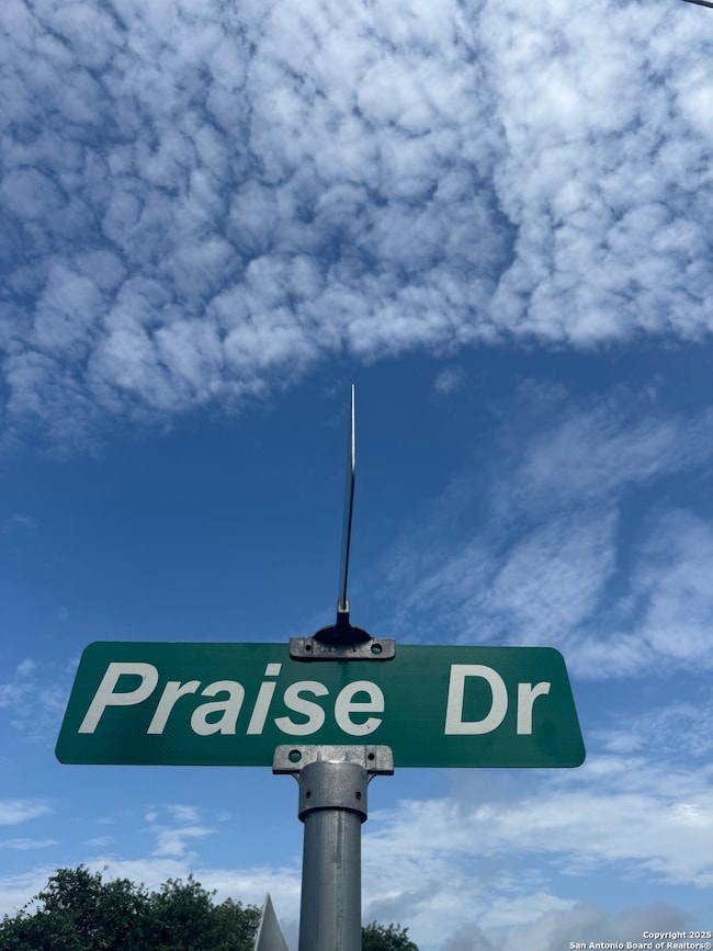 299 Praise Dr, Poteet, TX 78065 - photo 7