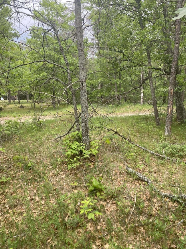 0 Stitt Ln unit 201835231, Mio, MI 48647 - photo 4