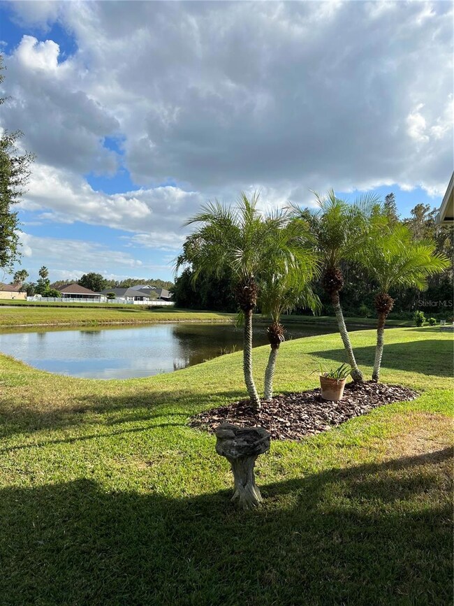 31215 Wrencrest Dr, Wesley Chapel, FL 33543 - photo 5