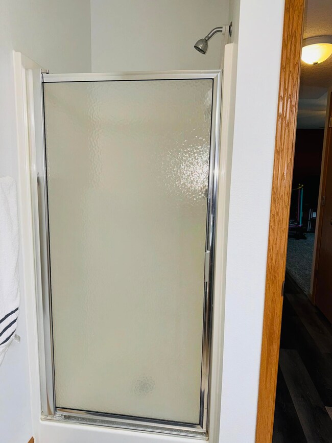shower on lower level