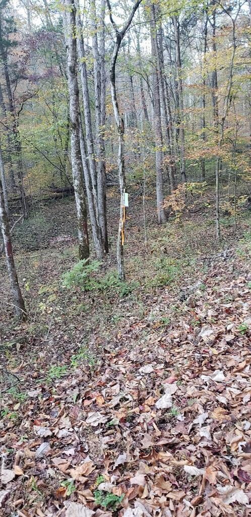 0 107 Ac Board Valley Rd unit 1137801, Cookeville, TN 38506 - photo 2