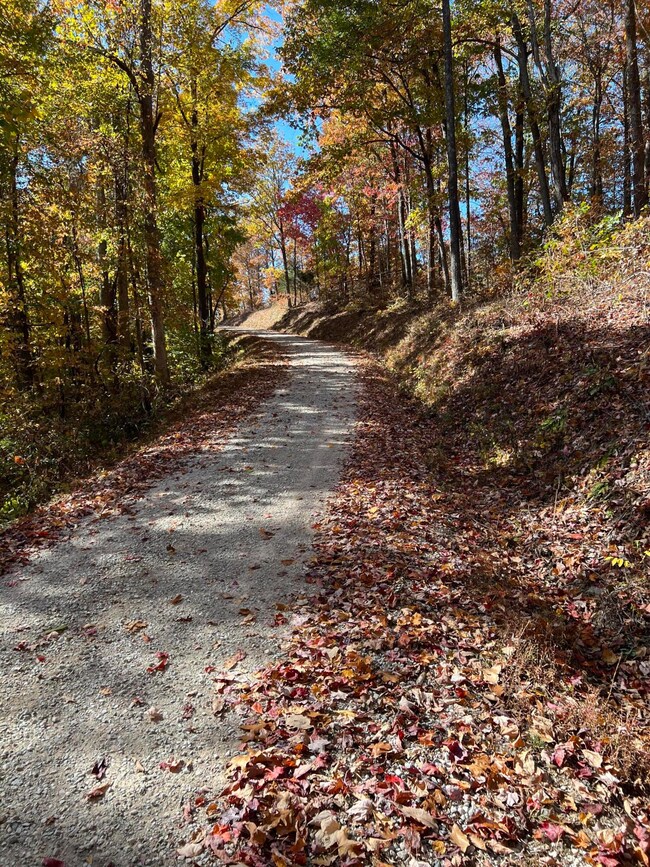 BC656519-55E6-4C05-94AB-9E06903778A0