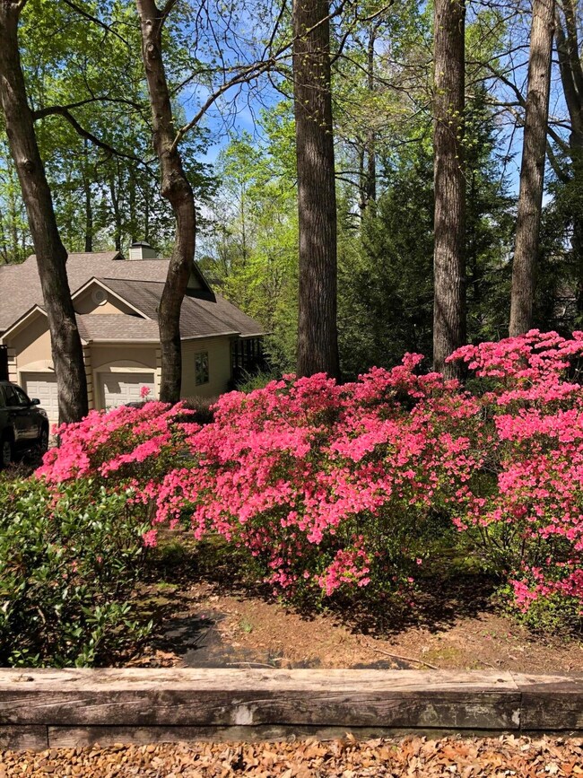 202 Dudala Way, Loudon, TN 37774 - photo 5