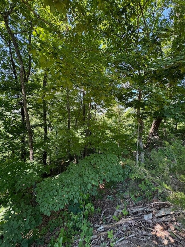 0 Monterey Hwy unit LotWP003 20949542, Monterey, TN 38574 - photo 5