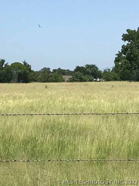 View of north fence line