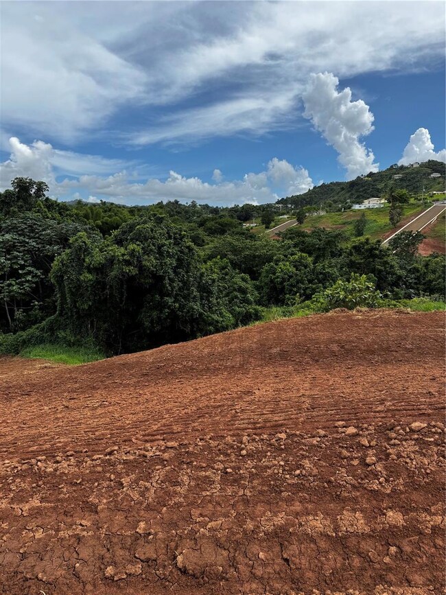 0 Carr 155 Km 31 2 Int Bo Barros unit Lote 2, Orocovis, PR 00720 - photo 3