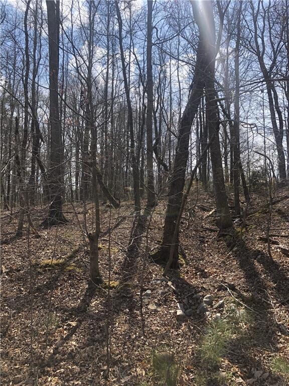 View of back of property