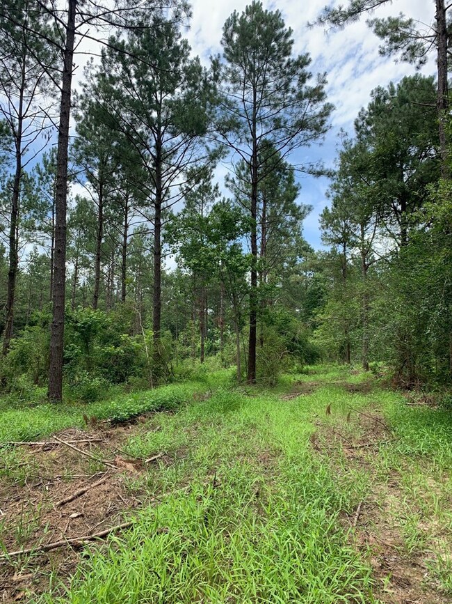 000 Dinan Salem Rd, Tylertown, MS 39667 - photo 3