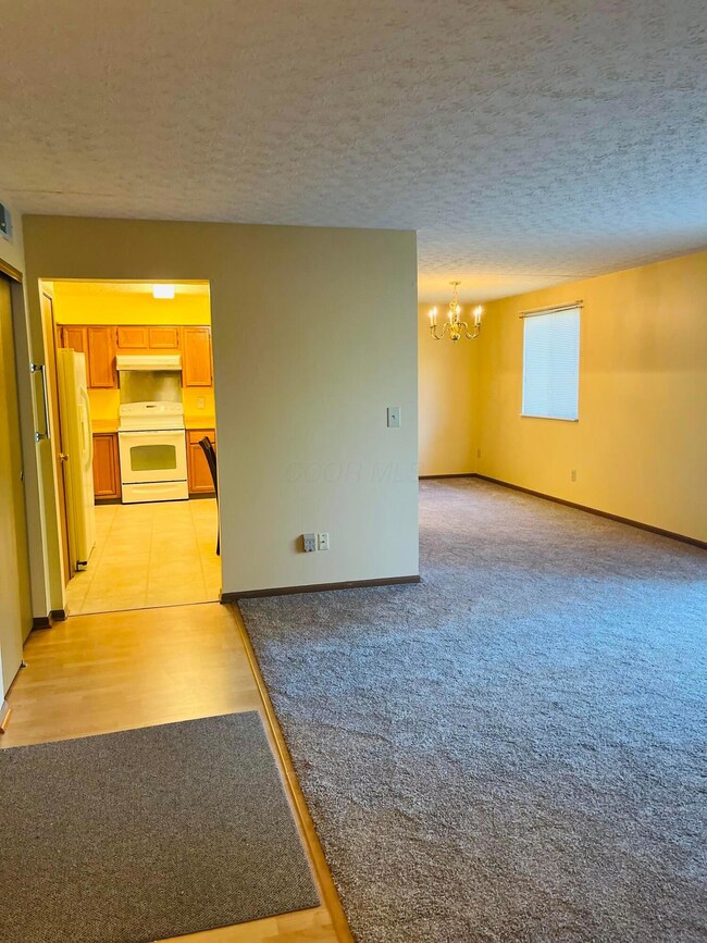 Living Dining Kitchen Sweep
