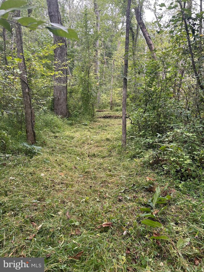 0 Luttrellville Ln unit VARV2000552, Farnham, VA 22460 - photo 3