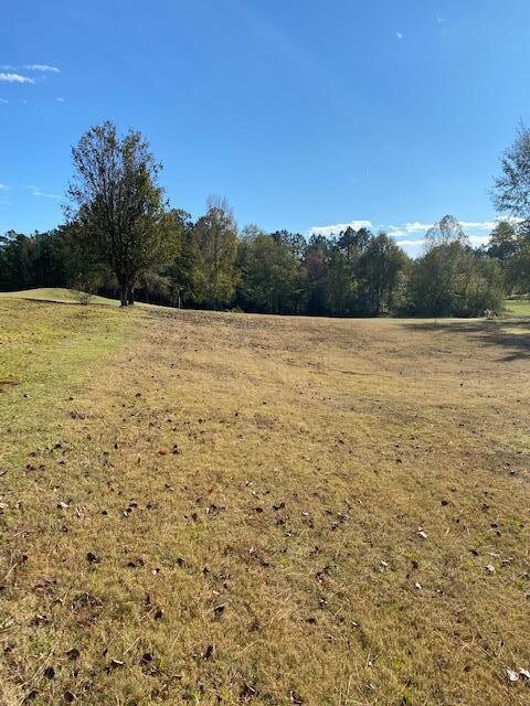 1004 Greenbriar Cir, Wesson, MS 39191 - photo 4