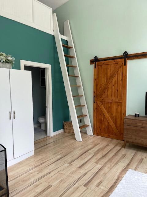 ladder to awesome loft