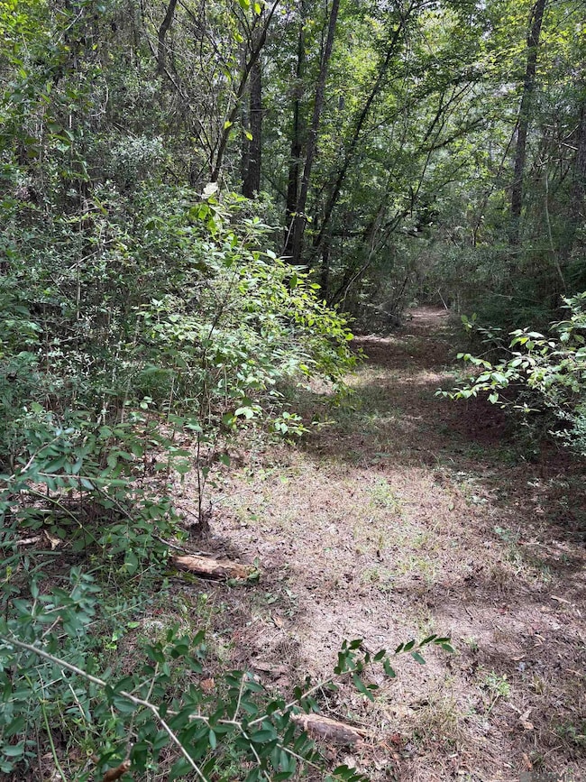 83234 Isabel Swamp Rd, Bush, LA 70431 - photo 7