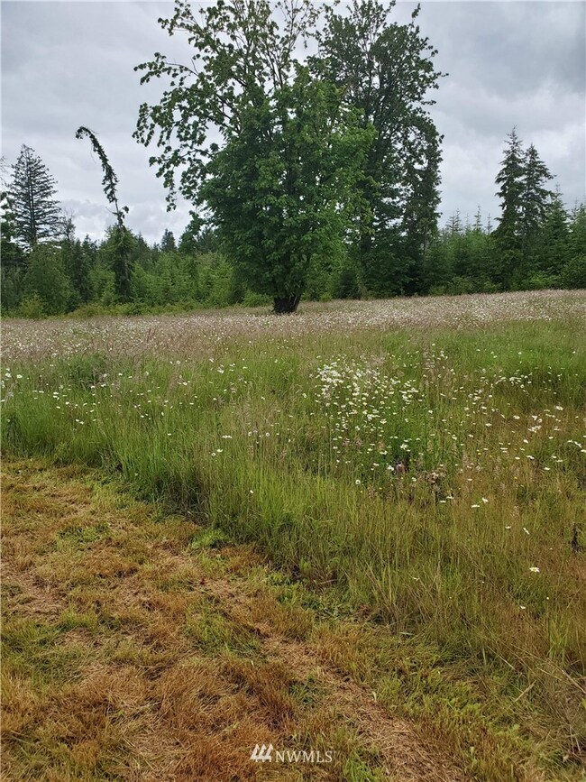 389 Avery Rd E, Chehalis, WA 98532 - photo 4