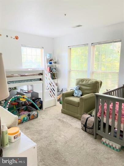 4403 Silverbrook Ln unit A301, Owings Mills, MD 21117 - photo 7