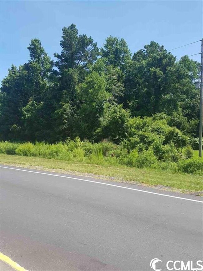 TBD Highway 9 Bypass, Loris, SC 29569 - photo 2