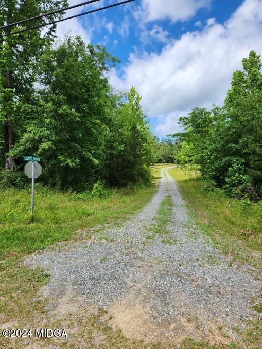 447 Chapman Rd, Macon, GA 31211 - photo 3