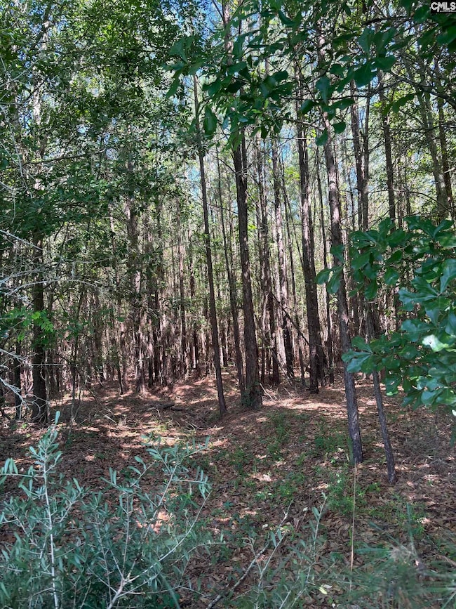 0 Black River Rd, Rembert, SC 29128 - photo 3