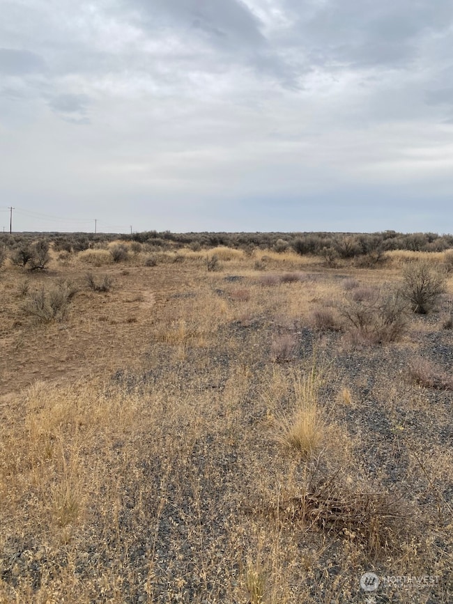 4915 W Coyote Trail, Ephrata, WA 98823 - photo 2